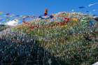Tibet, Kham, Tagong. Hundreds of prayer flags above the Ser Gyergo nunnery. Art Print
